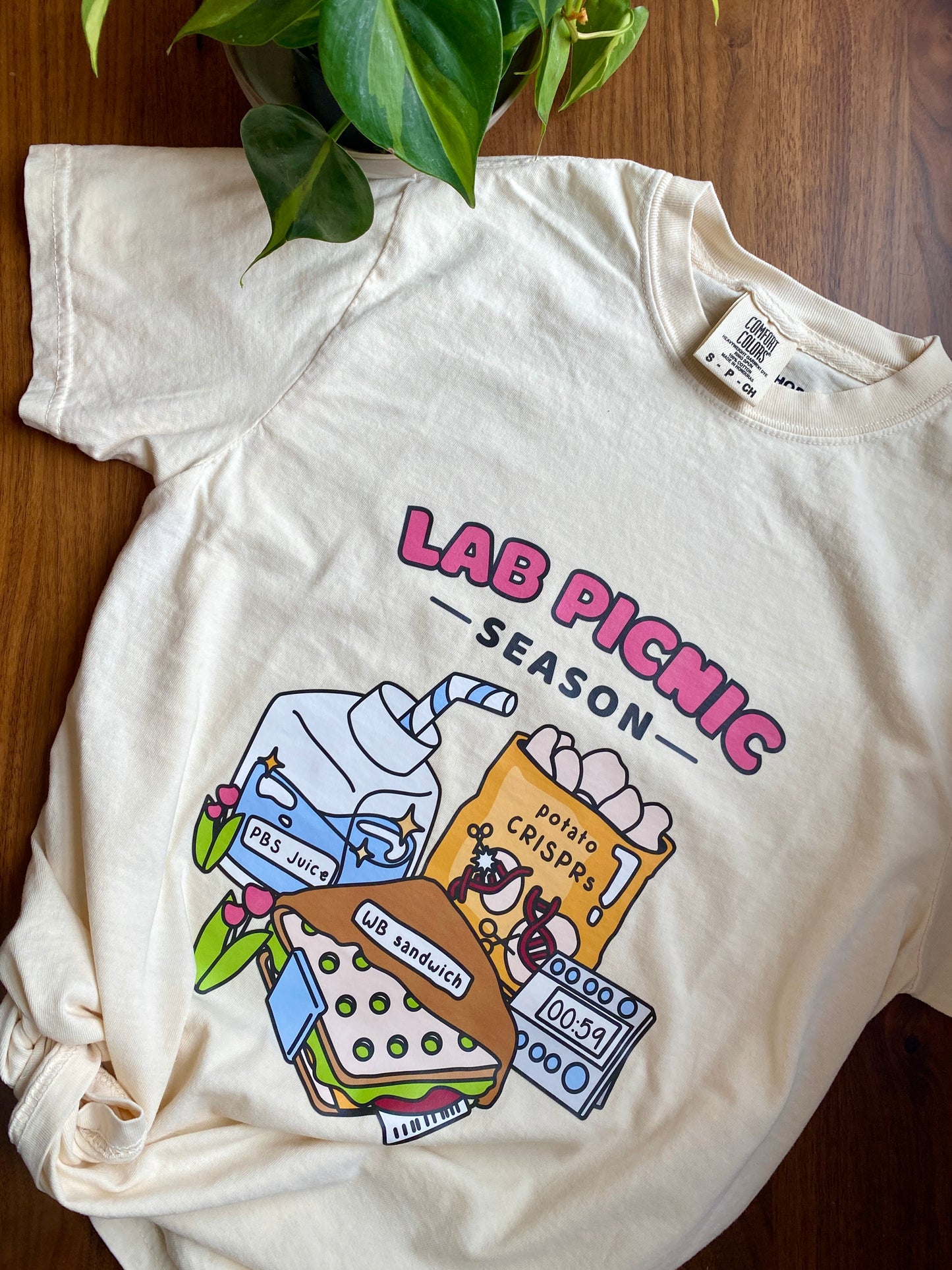 Lab picnic season t-shirt - coloured